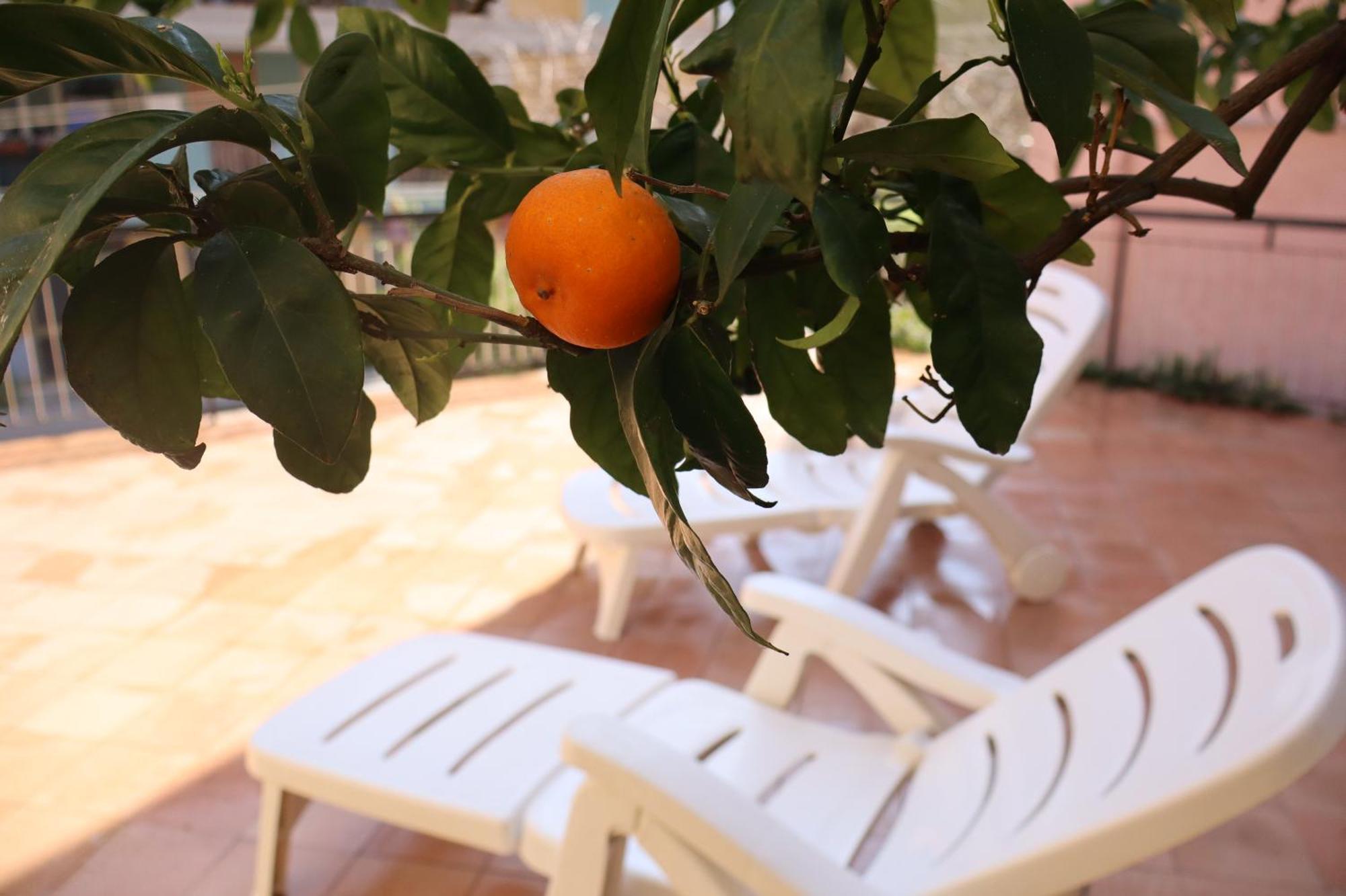 Giulio'S Terraces In The Bay Apartment Porto Venere Ngoại thất bức ảnh
